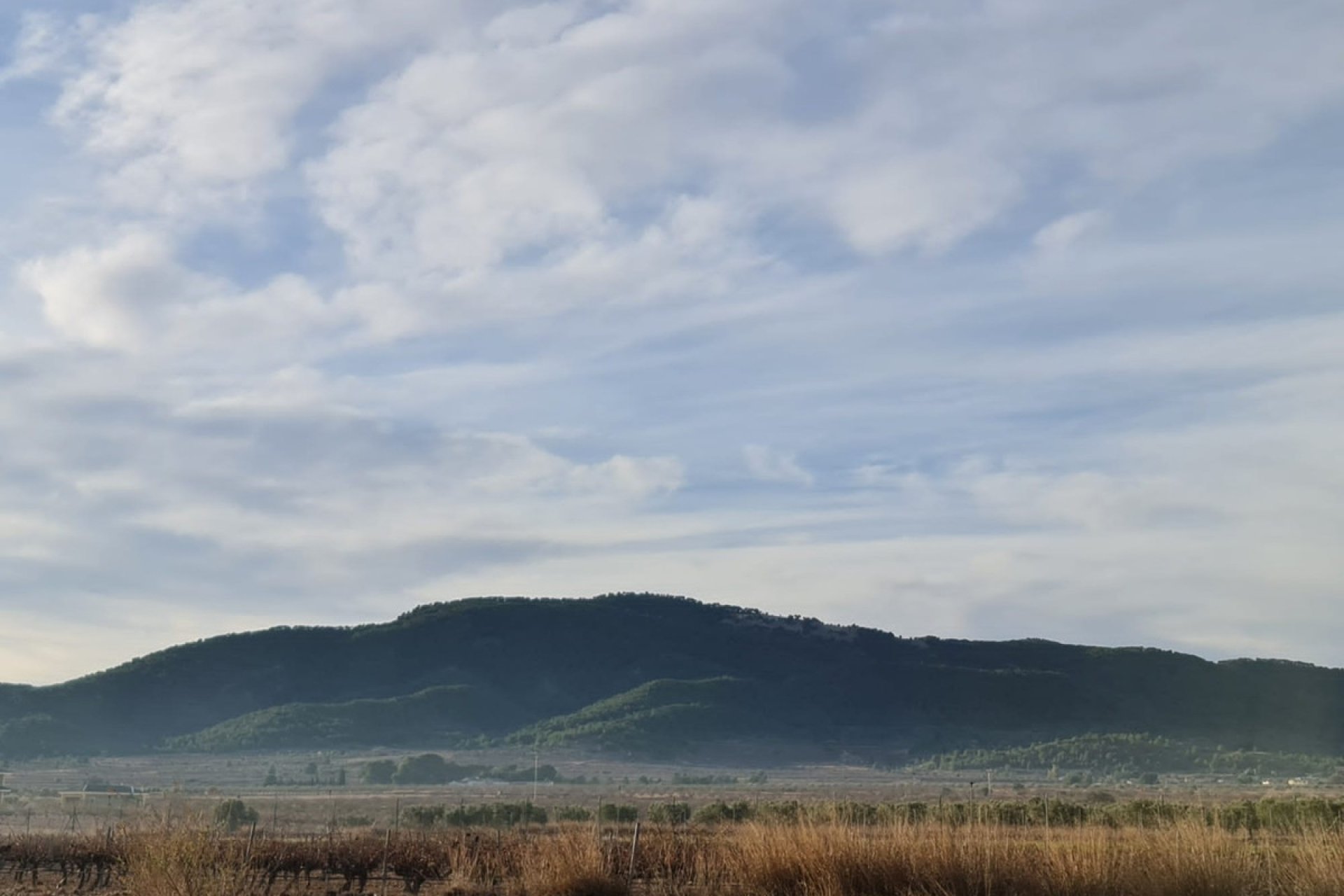 Resale - land -
Monóvar - Monòver - Monóvar - Monòver Centro