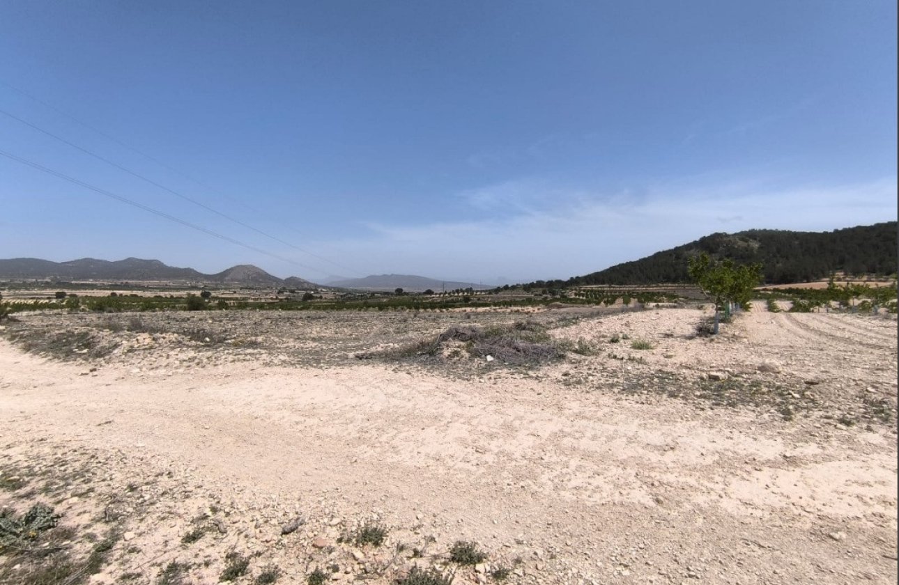 Resale - land -
Monóvar - Monòver - Monóvar - Monòver Centro