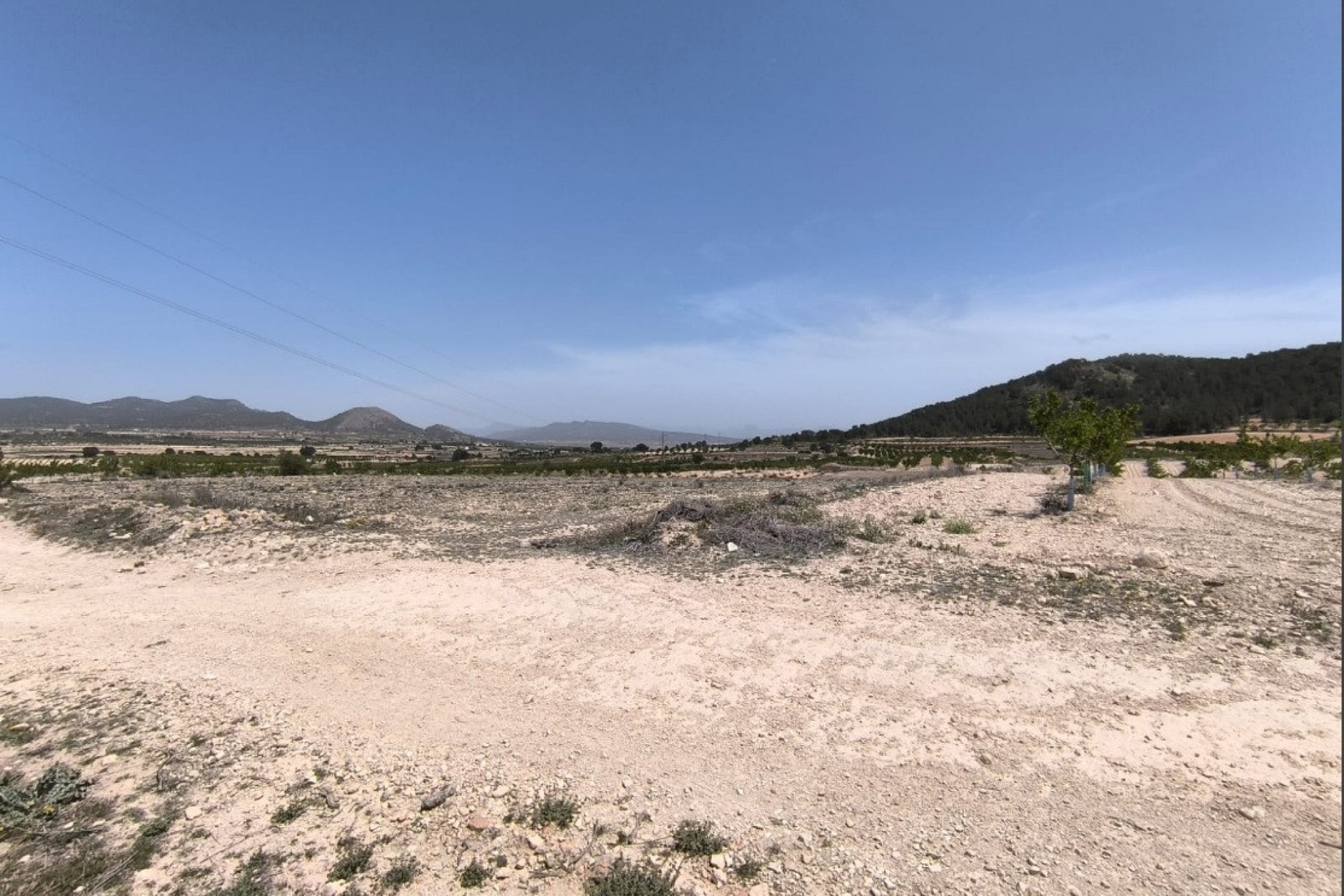 Resale - land -
Monóvar - Monòver - Monóvar - Monòver Centro