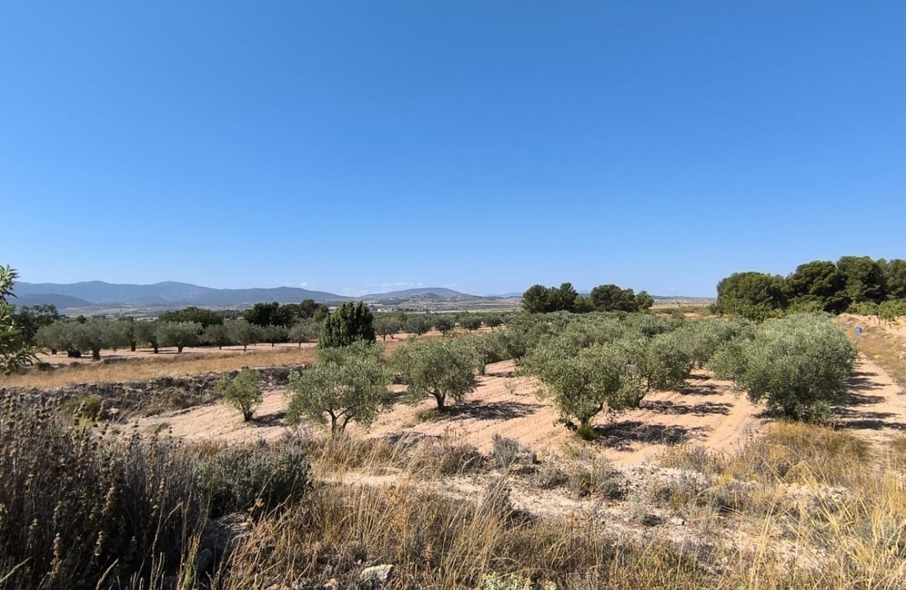 Resale - land -
Monóvar - Monòver - Monóvar - Monòver Centro