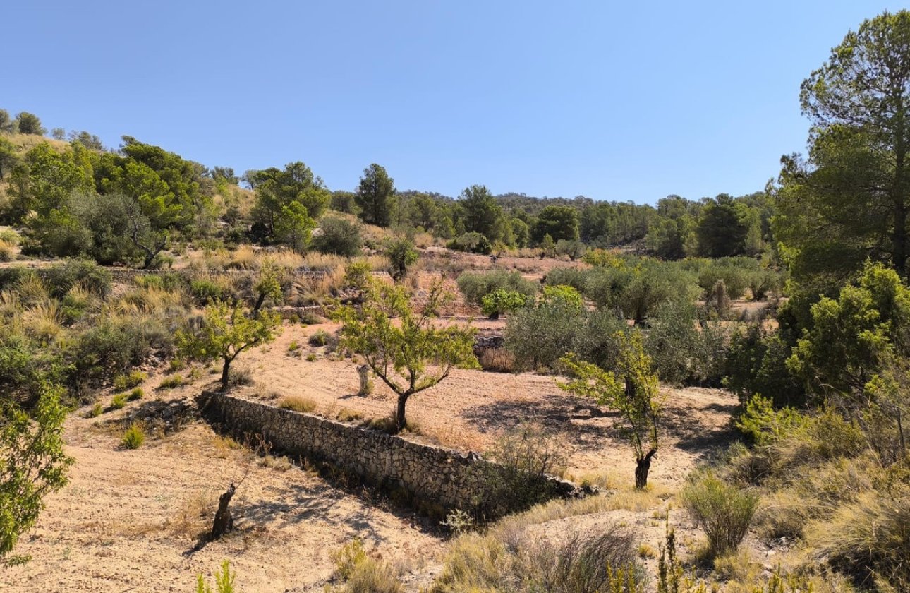 Resale - land -
Monóvar - Monòver - Monóvar - Monòver Centro