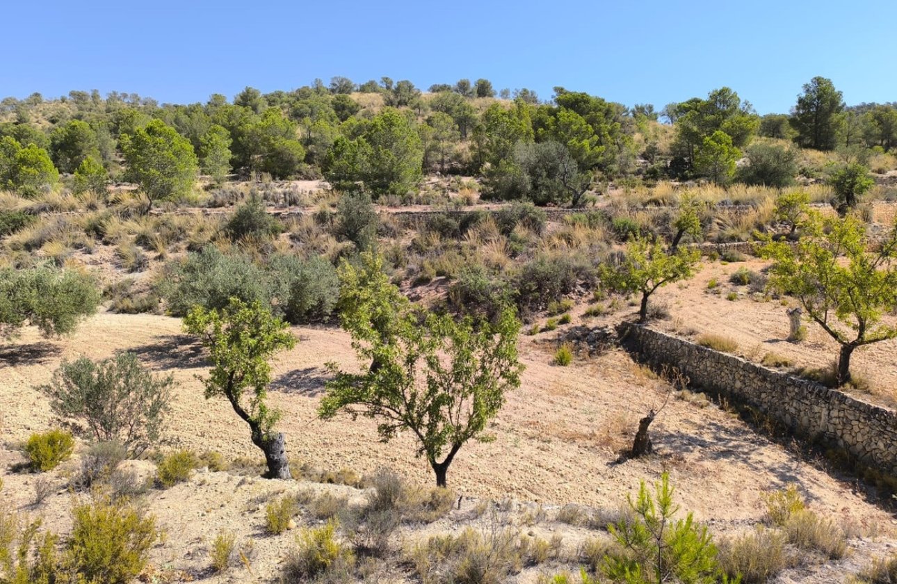 Resale - land -
Monóvar - Monòver - Monóvar - Monòver Centro