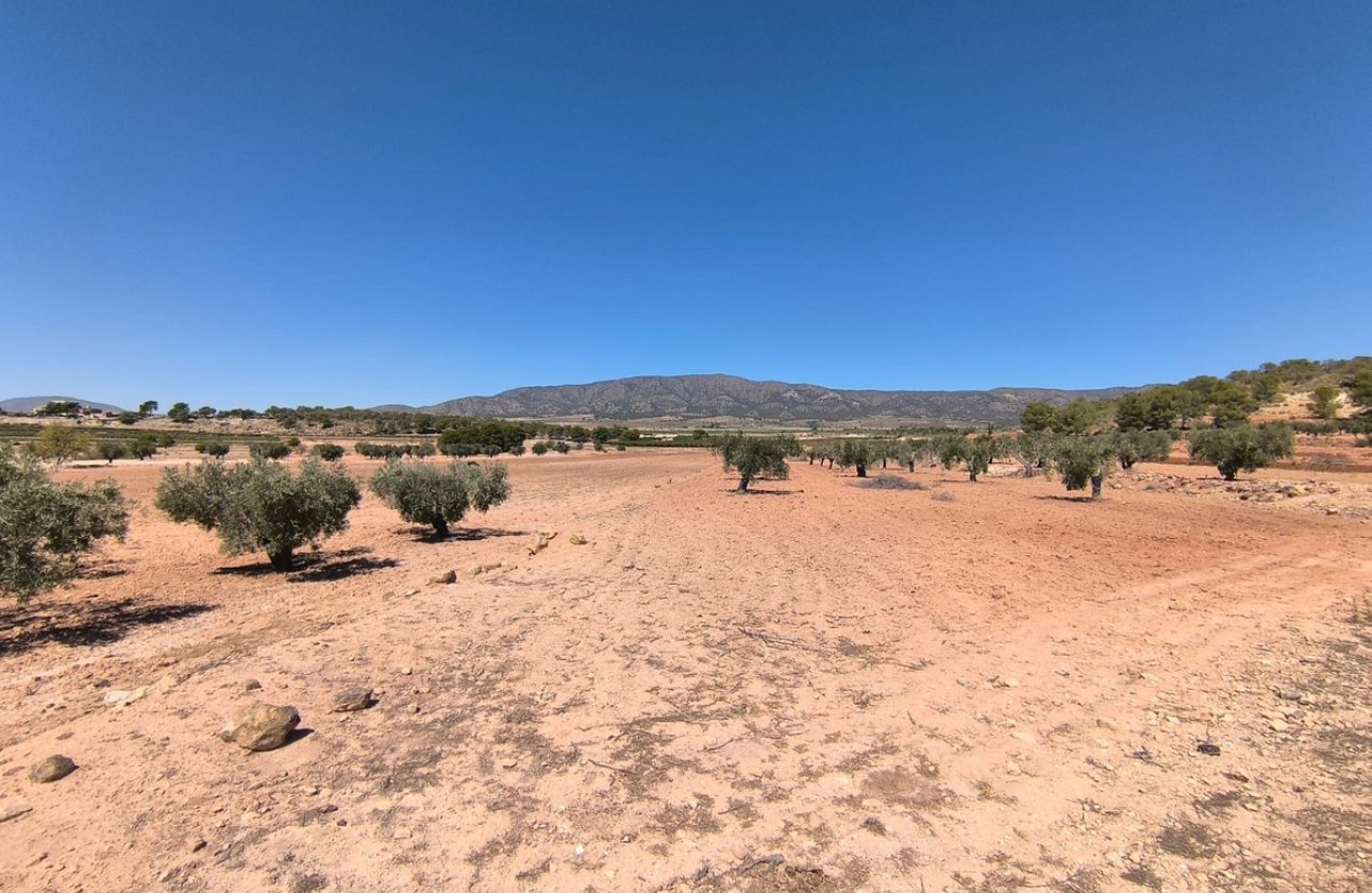 Resale - land -
Monóvar - Monòver - Monóvar - Monòver Centro