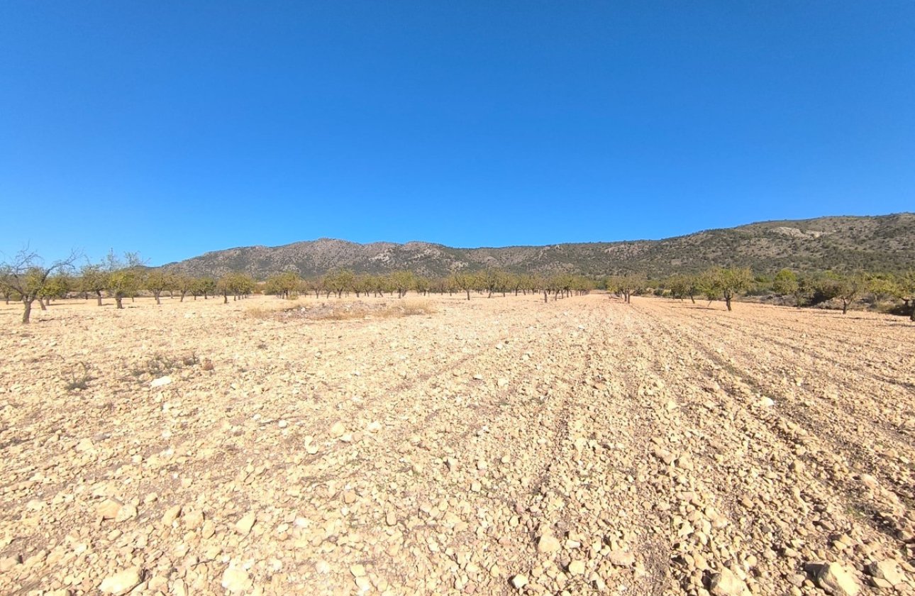 Resale - land -
Monóvar - Monòver - Monóvar - Monòver Centro