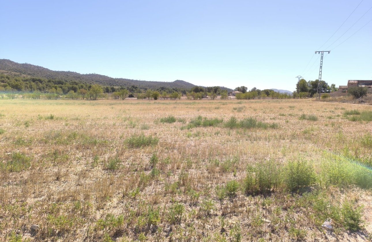 Resale - land -
Monóvar - Monòver - Monóvar - Monòver Centro