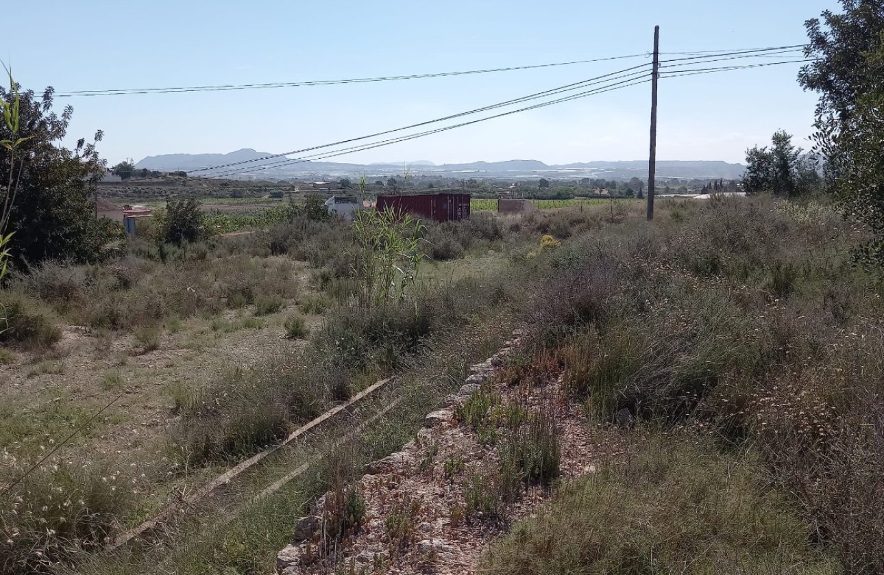 Resale - land -
Novelda - Novelda Centro