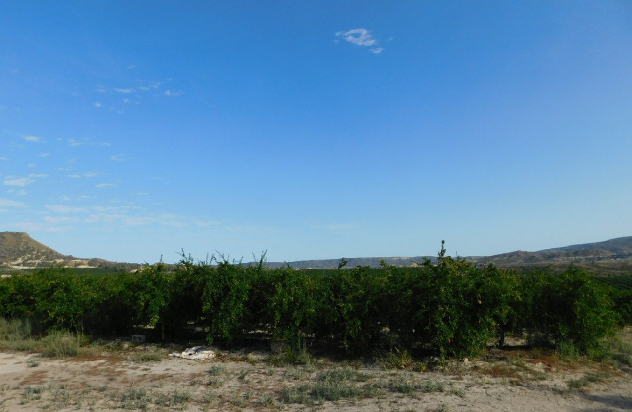 Resale - land -
Orihuela - Torremendo