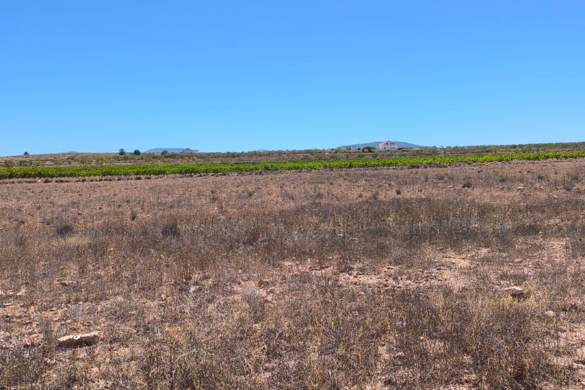 Resale - land -
Pinoso - Lel