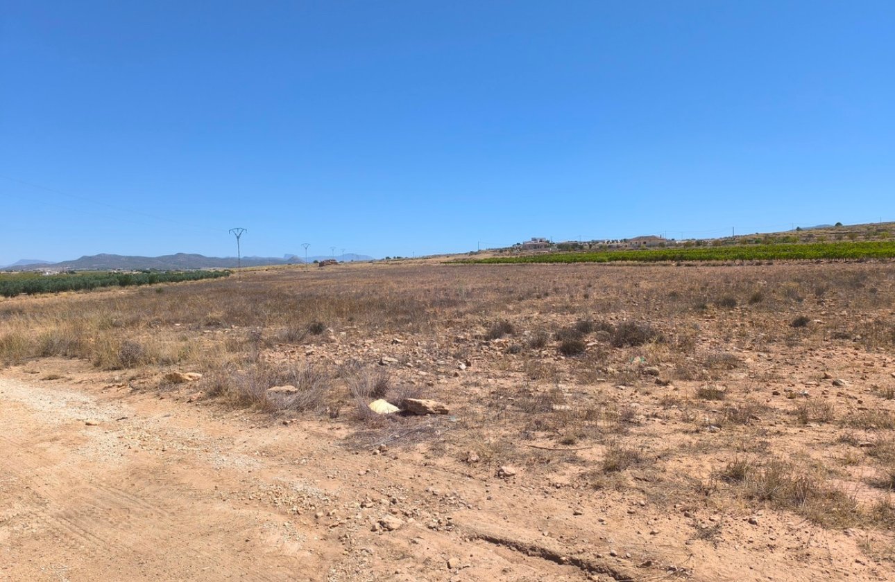 Resale - land -
Pinoso - Lel