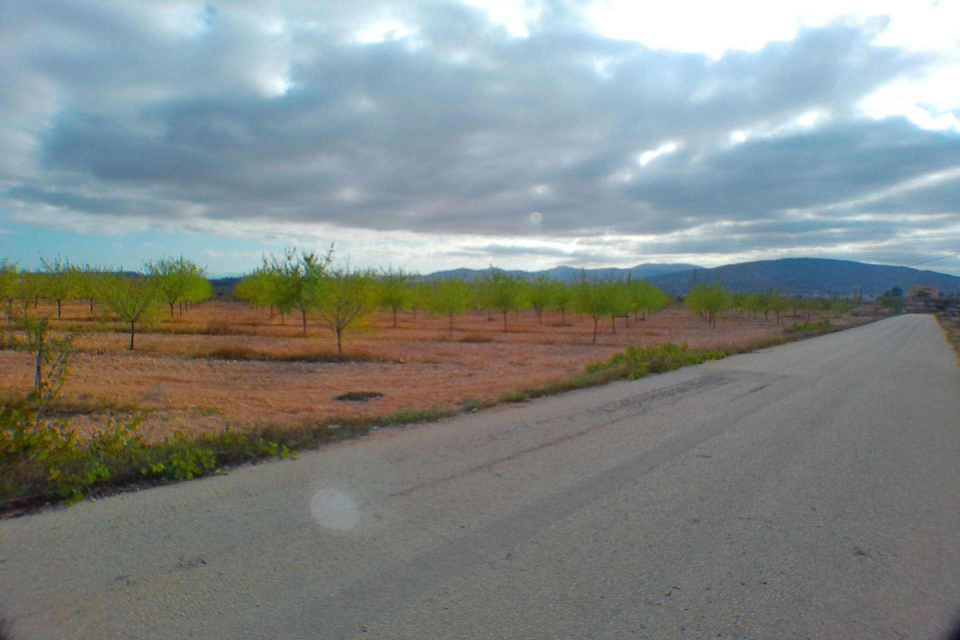 Resale - land -
Pinoso - Pinoso Centro