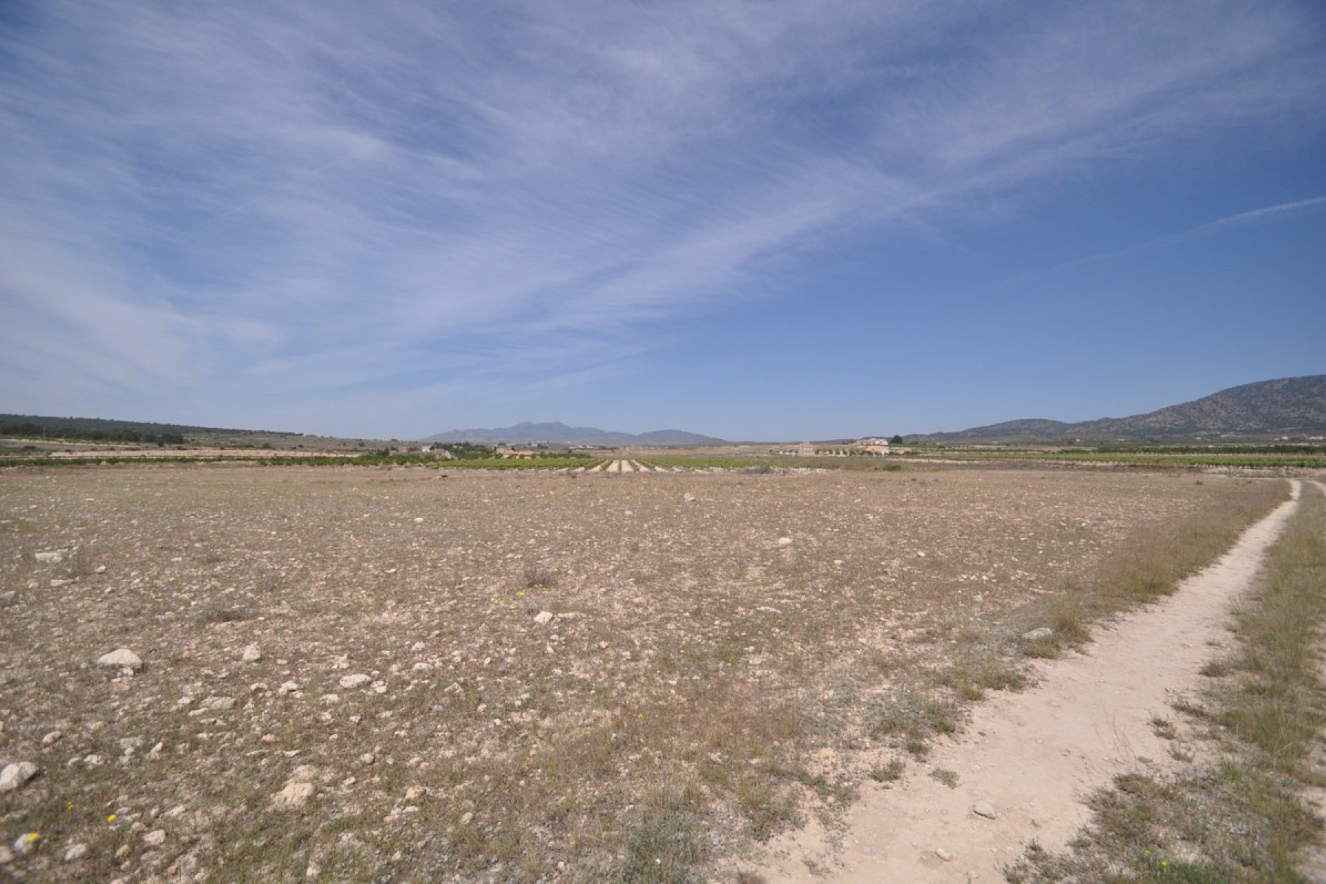 Resale - land -
Pinoso - Pinoso Centro