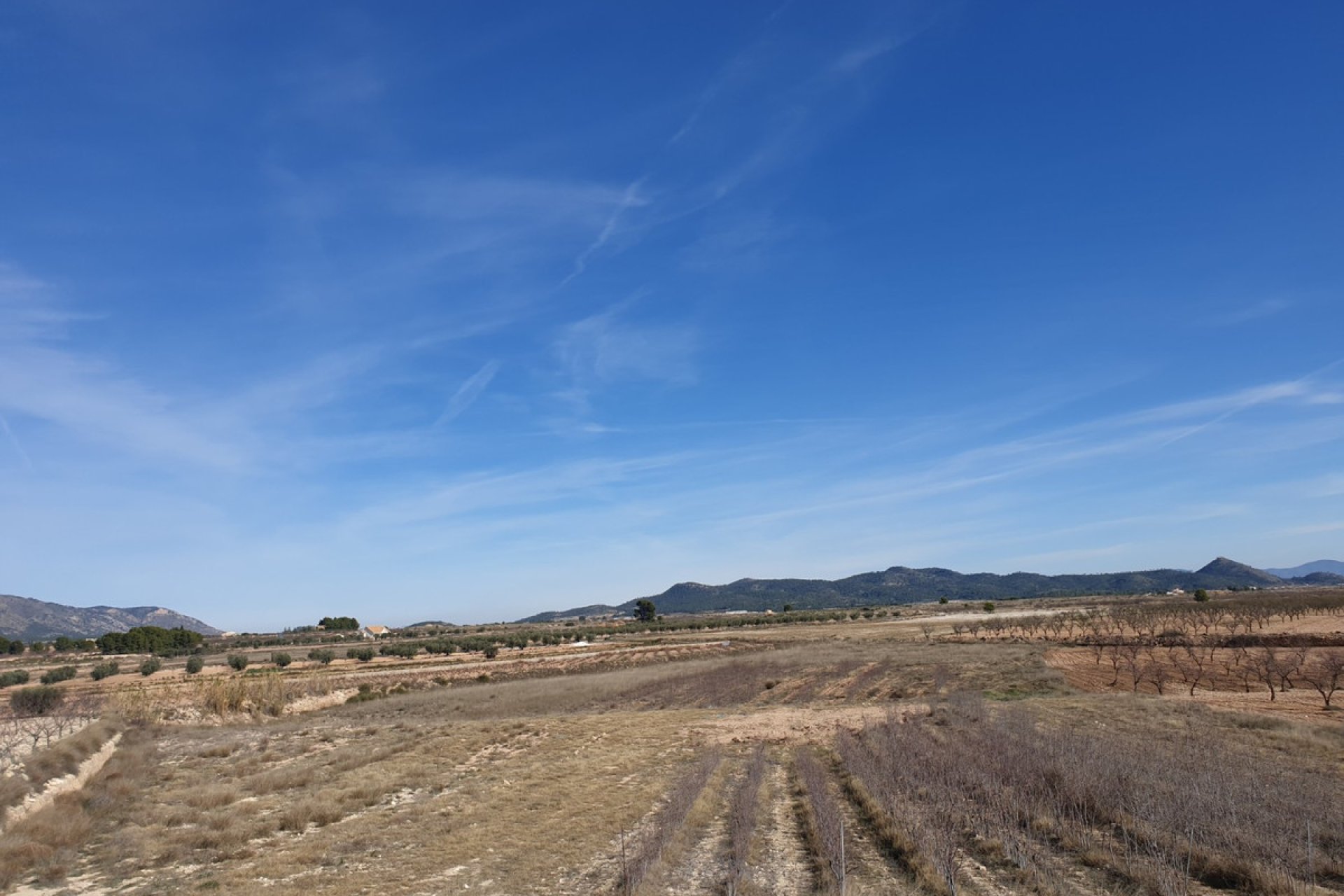 Resale - land -
Pinoso - Pinoso Centro