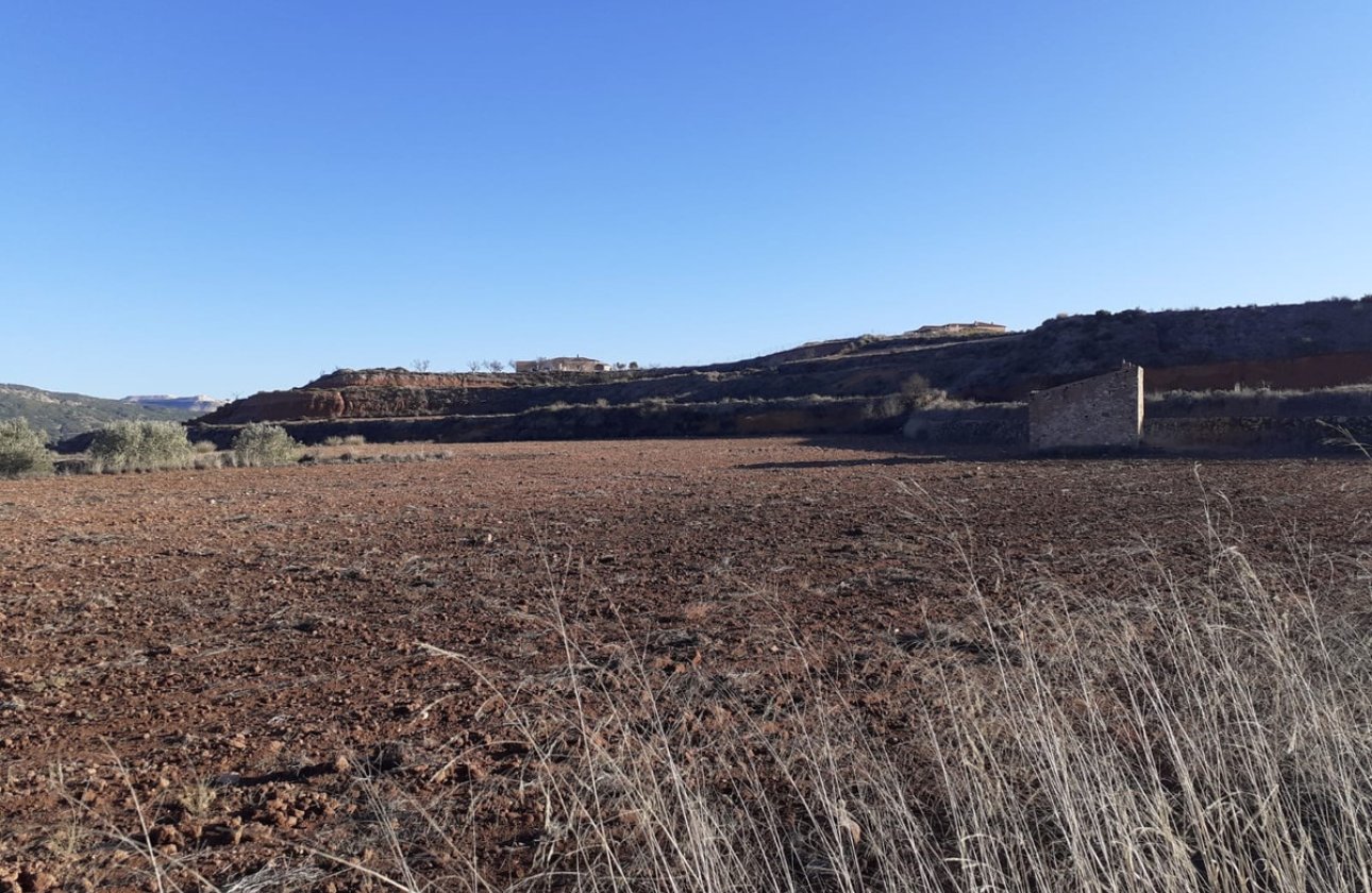 Resale - land -
Pinoso - Pinoso Centro