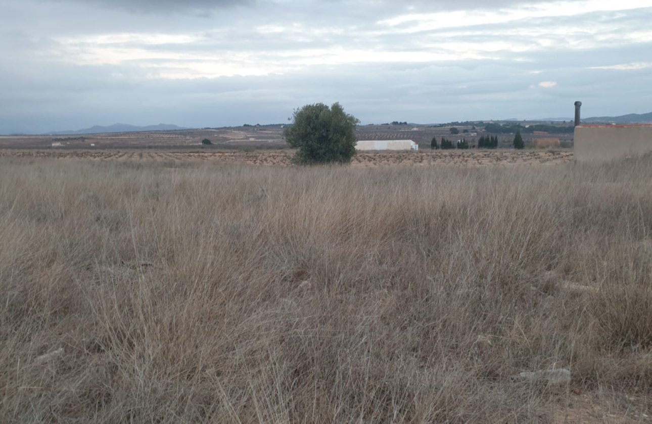 Resale - land -
Pinoso - Pinoso Centro