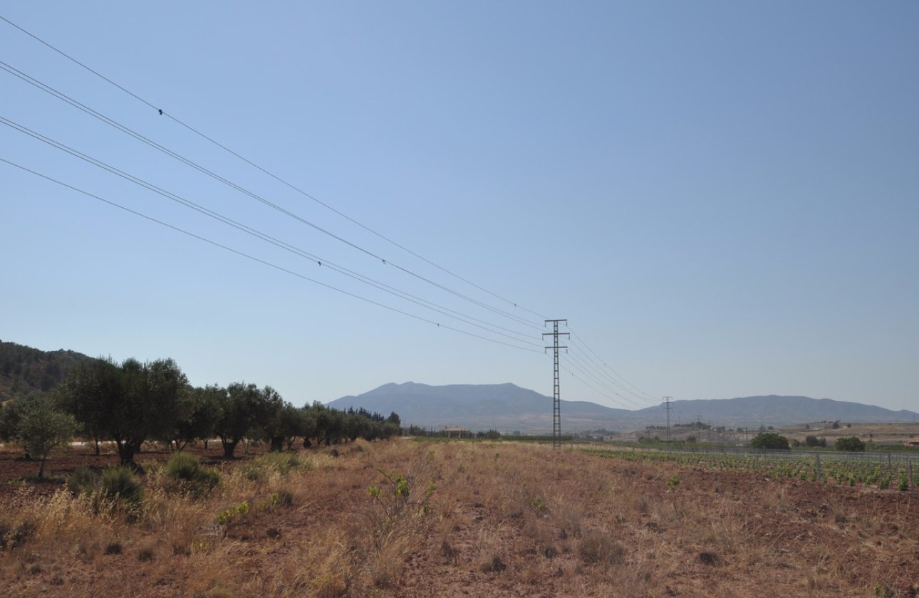 Resale - land -
Pinoso - Pinoso Centro