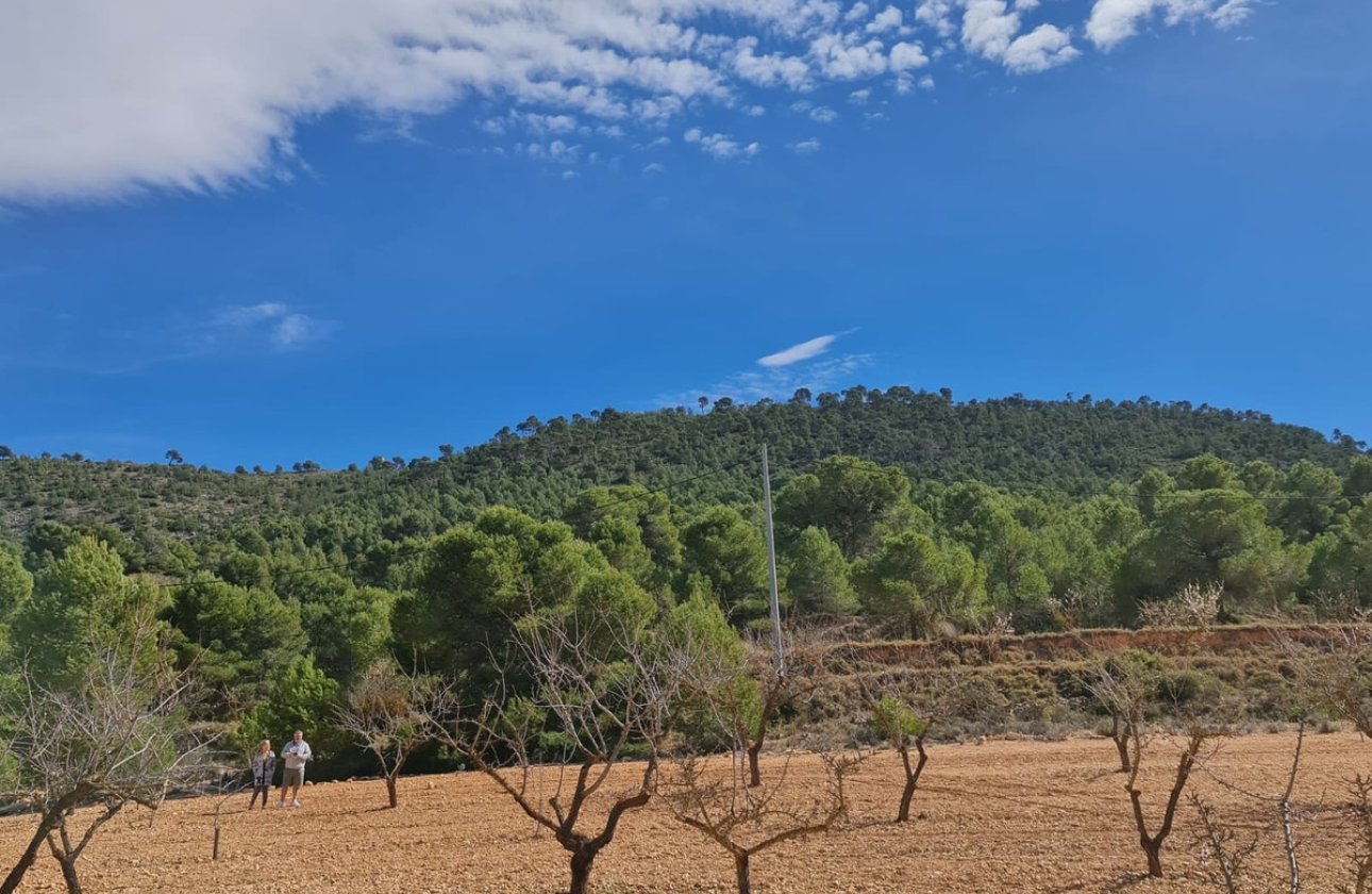 Resale - land -
Pinoso - Pinoso Centro