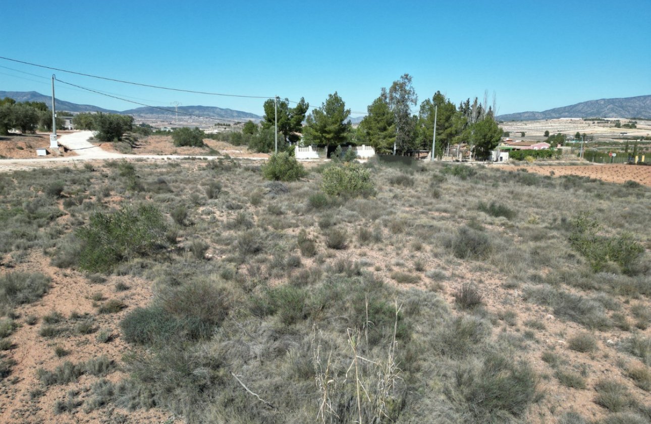 Resale - land -
Pinoso - Pinoso Centro