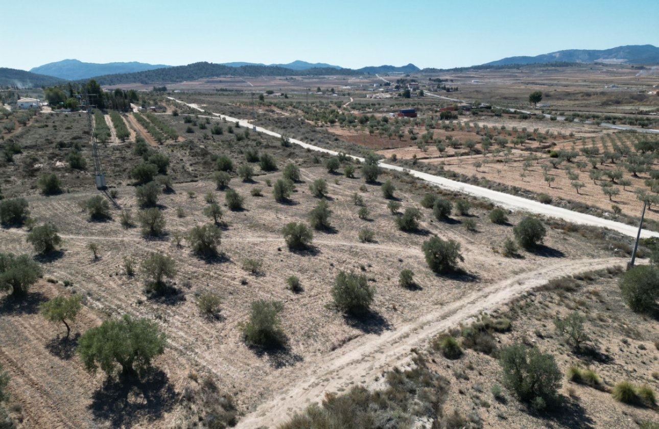 Resale - land -
Pinoso - Pinoso Centro
