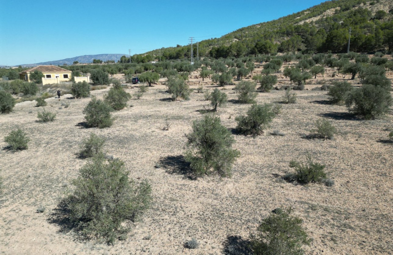 Resale - land -
Pinoso - Pinoso Centro