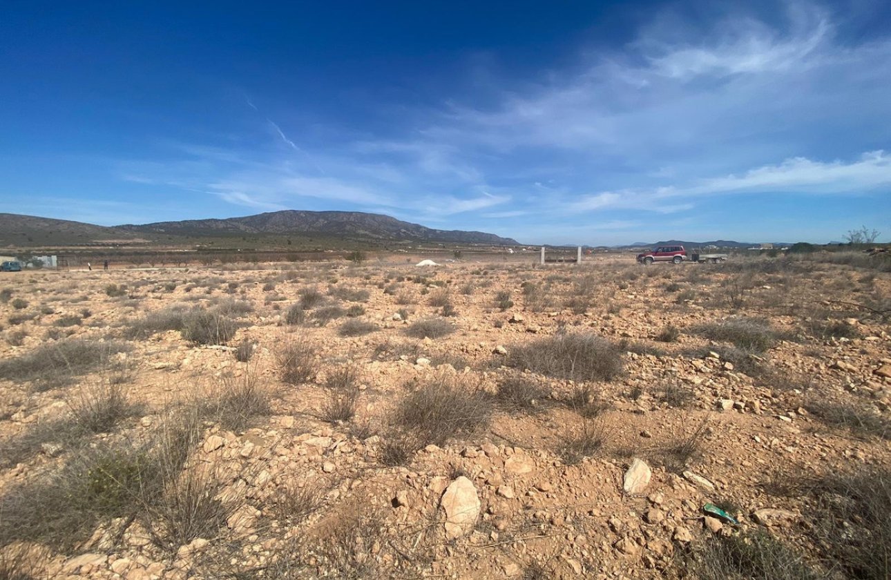 Resale - land -
Pinoso - Pinoso Centro