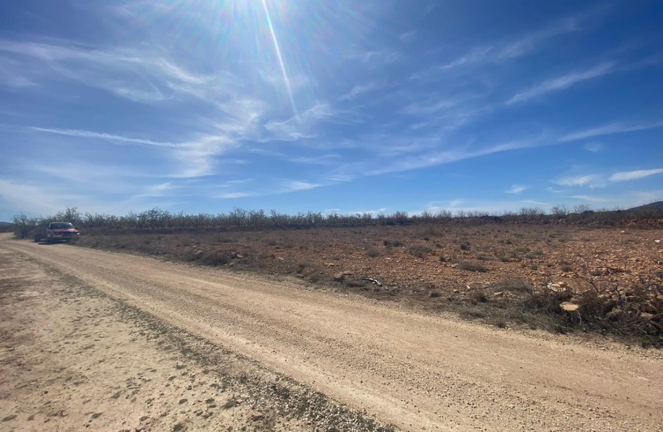 Resale - land -
Pinoso - Pinoso Centro