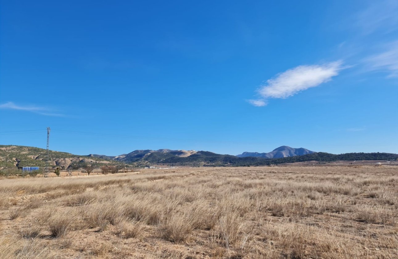 Resale - land -
Pinoso - Pinoso Centro