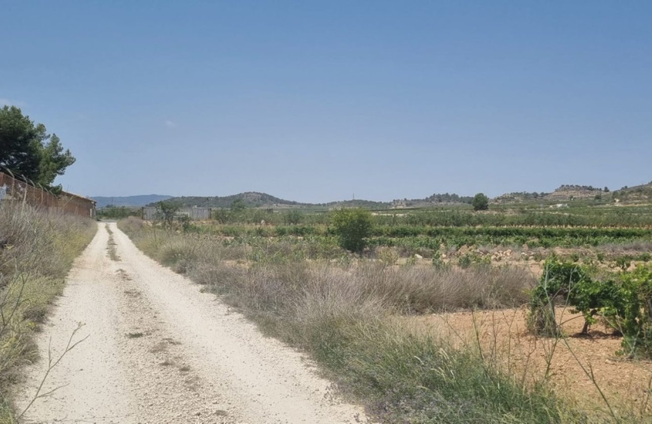 Resale - land -
Pinoso - Pinoso Centro