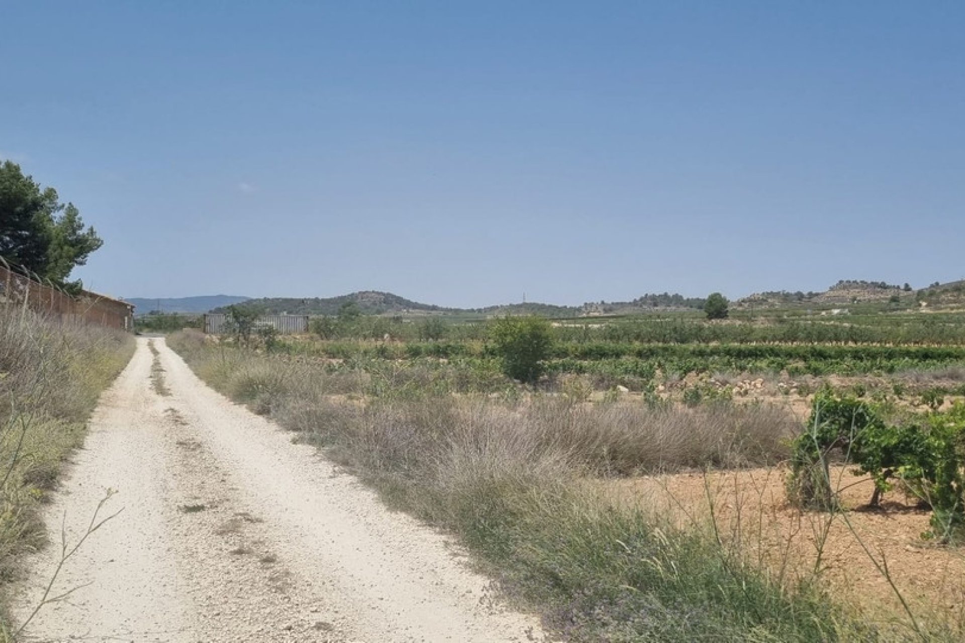 Resale - land -
Pinoso - Pinoso Centro