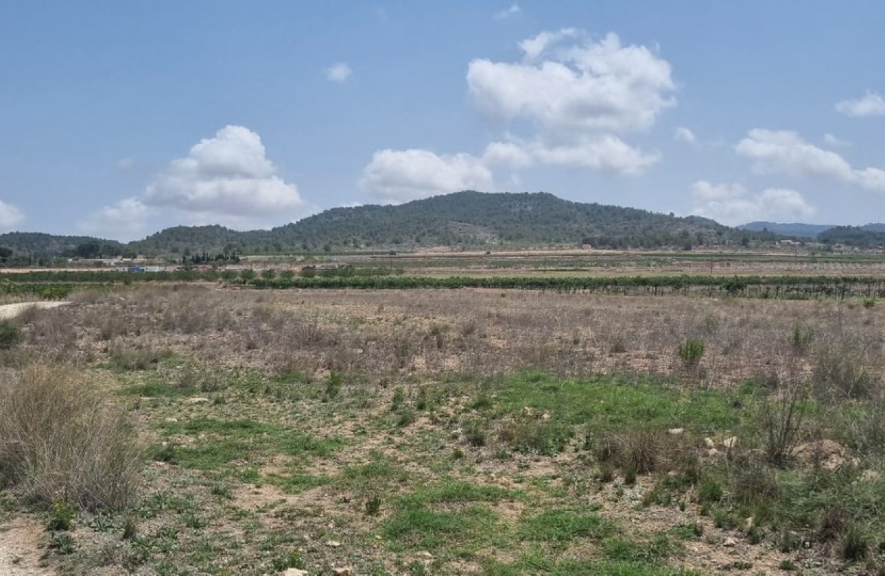 Resale - land -
Pinoso - Pinoso Centro