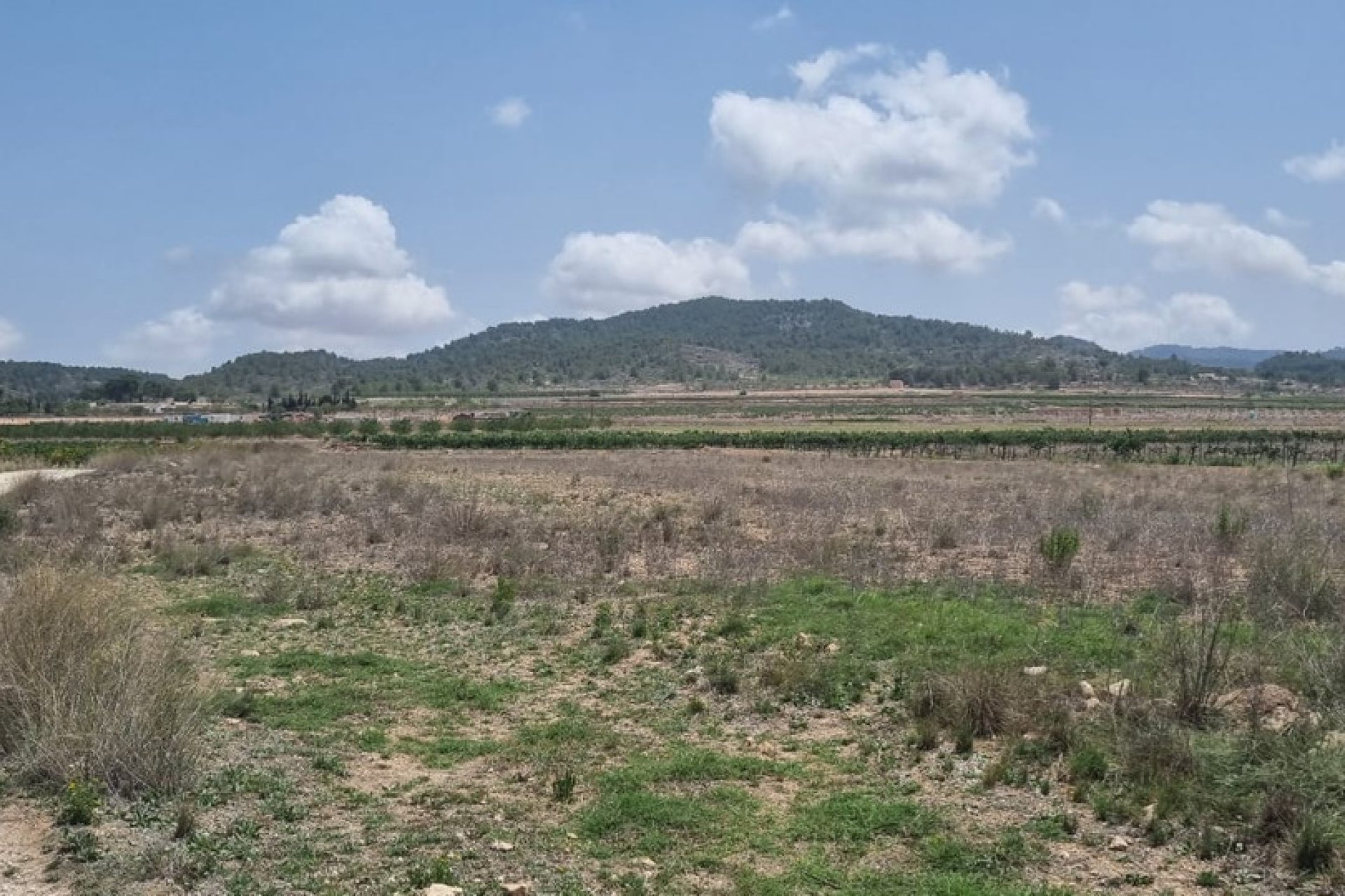 Resale - land -
Pinoso - Pinoso Centro