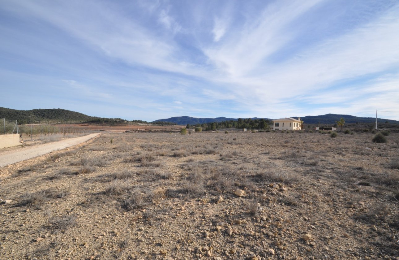 Resale - land -
Pinoso - Pinoso Centro