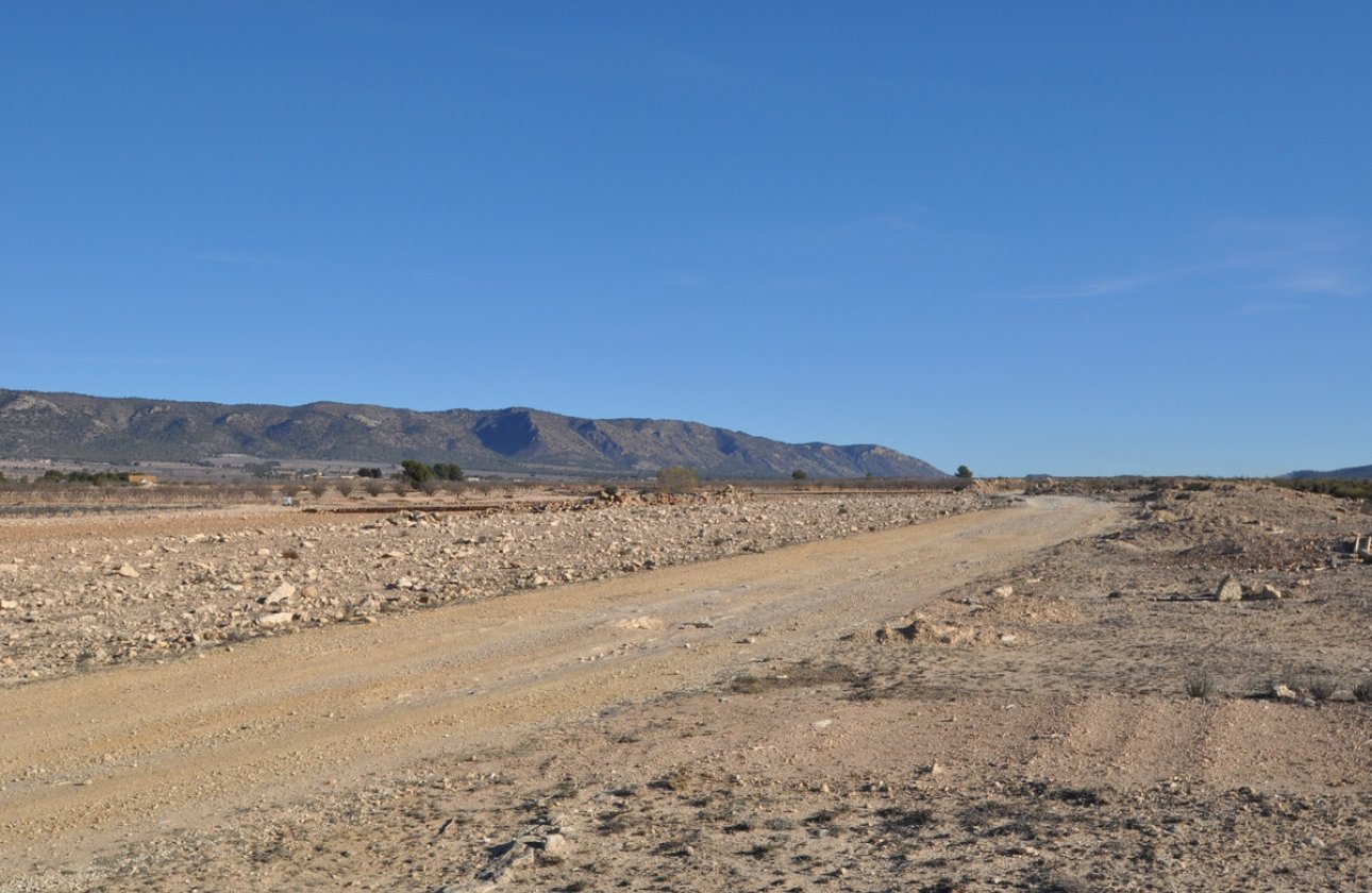 Resale - land -
Pinoso - Pinoso Centro