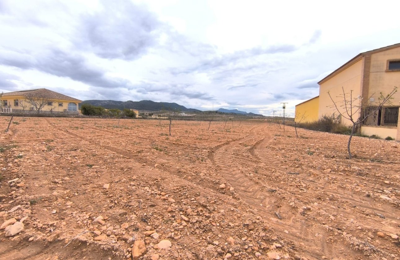 Resale - land -
Pinoso - Pinoso Centro