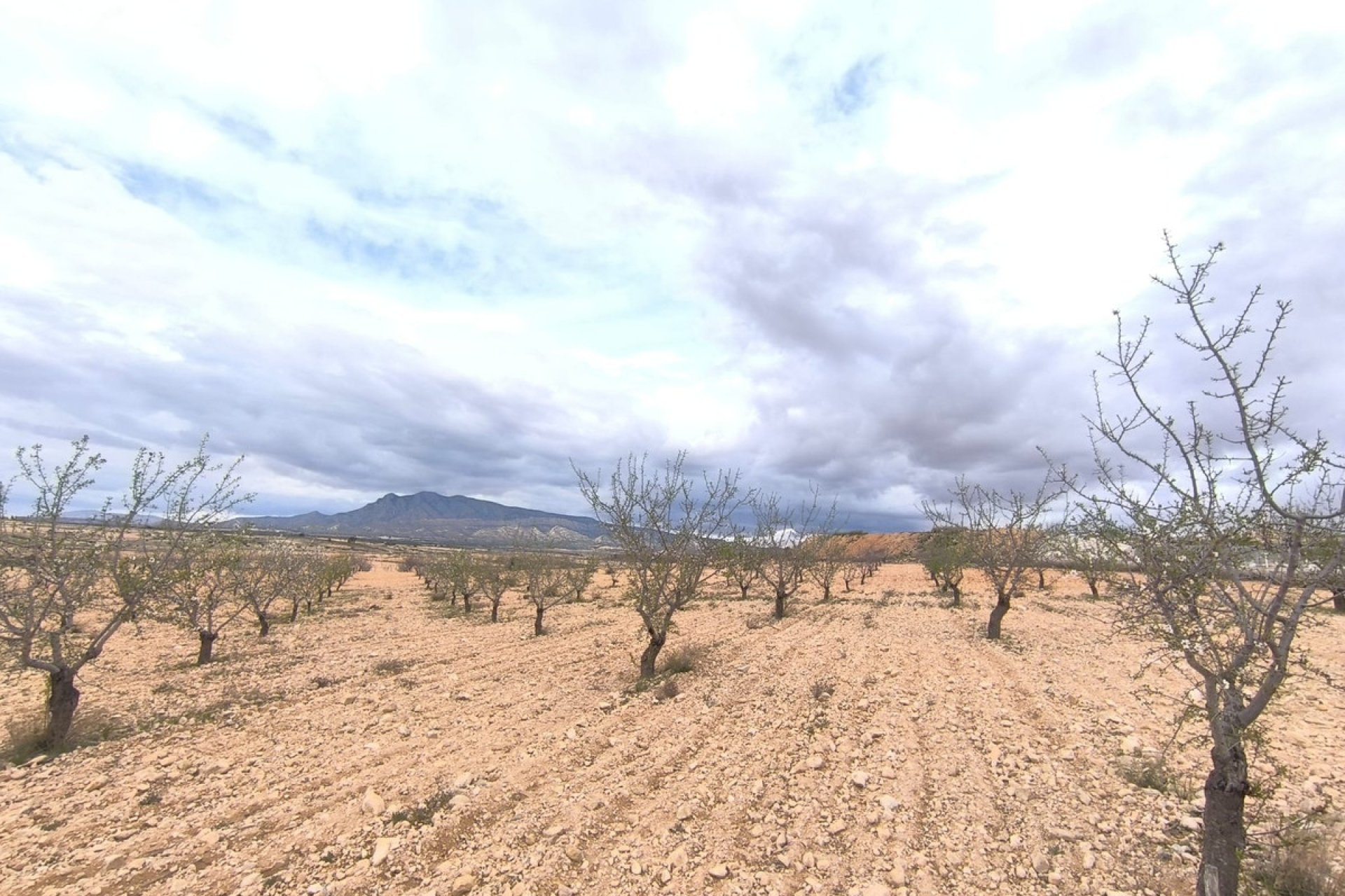 Resale - land -
Pinoso - Pinoso Centro