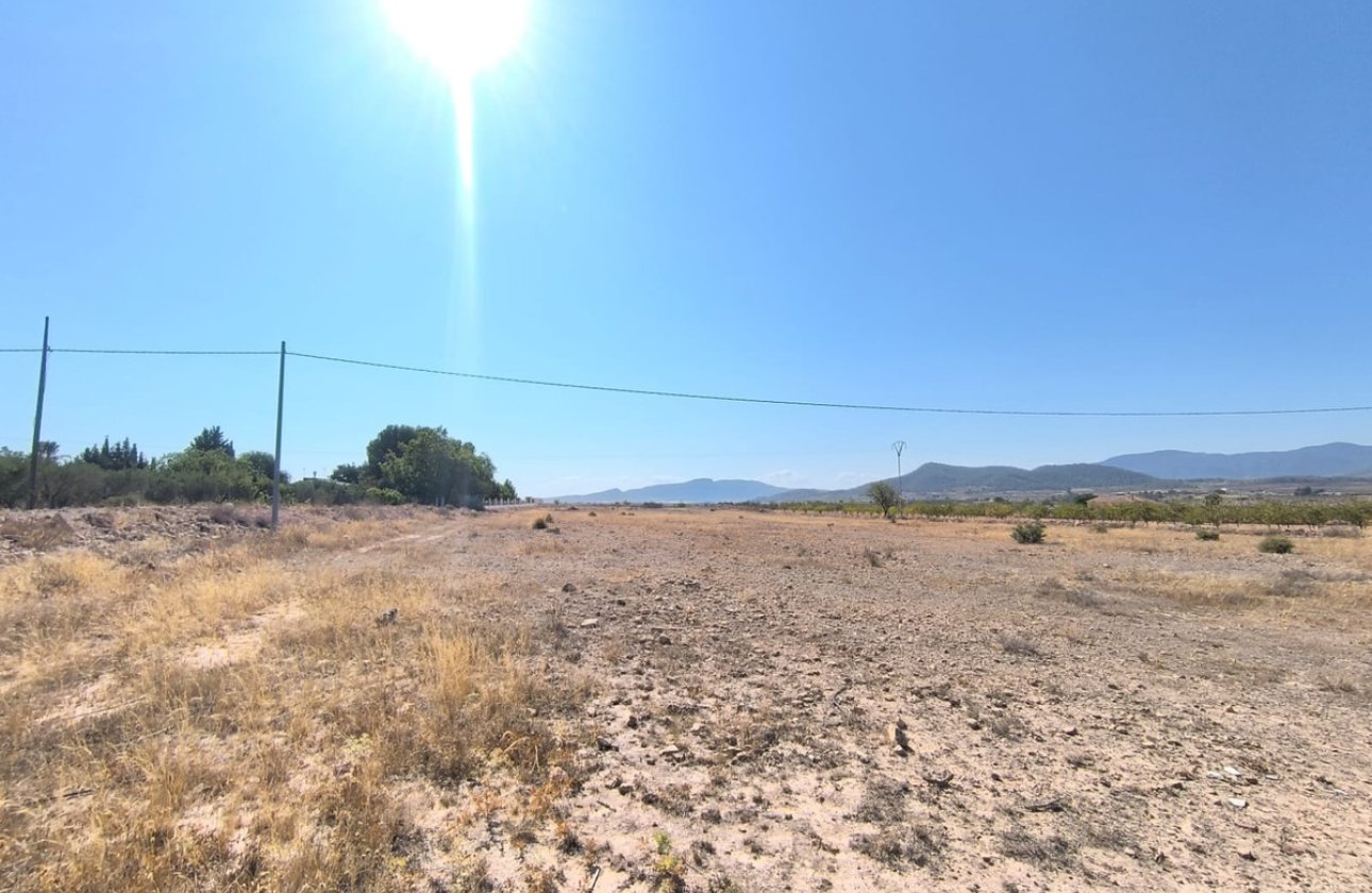 Resale - land -
Pinoso - Pinoso Centro