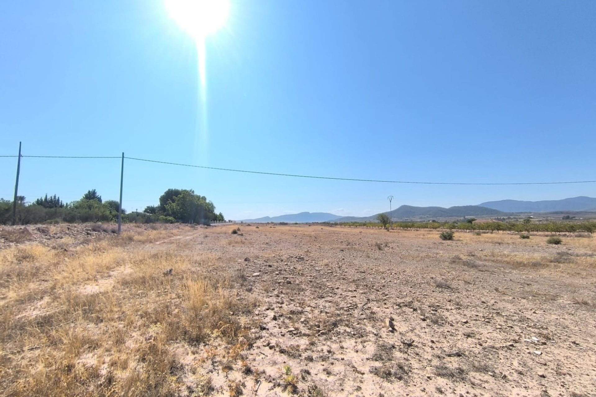 Resale - land -
Pinoso - Pinoso Centro