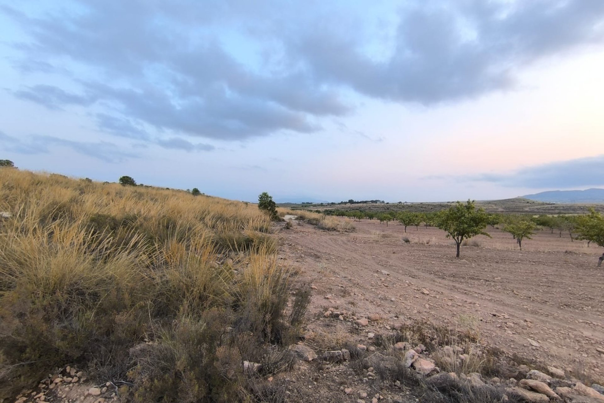 Resale - land -
Pinoso - Pinoso Centro