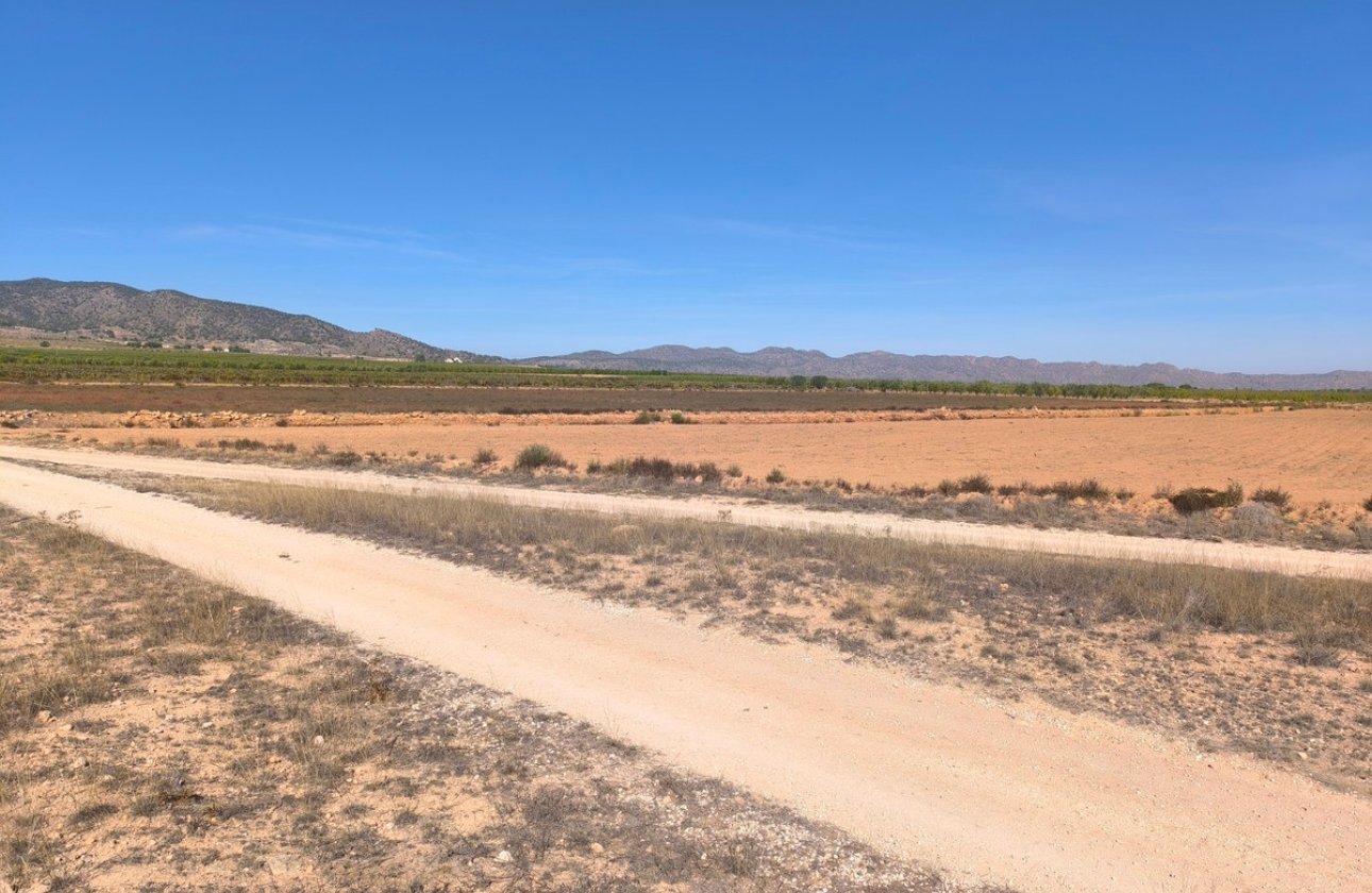 Resale - land -
Pinoso - Pinoso Centro