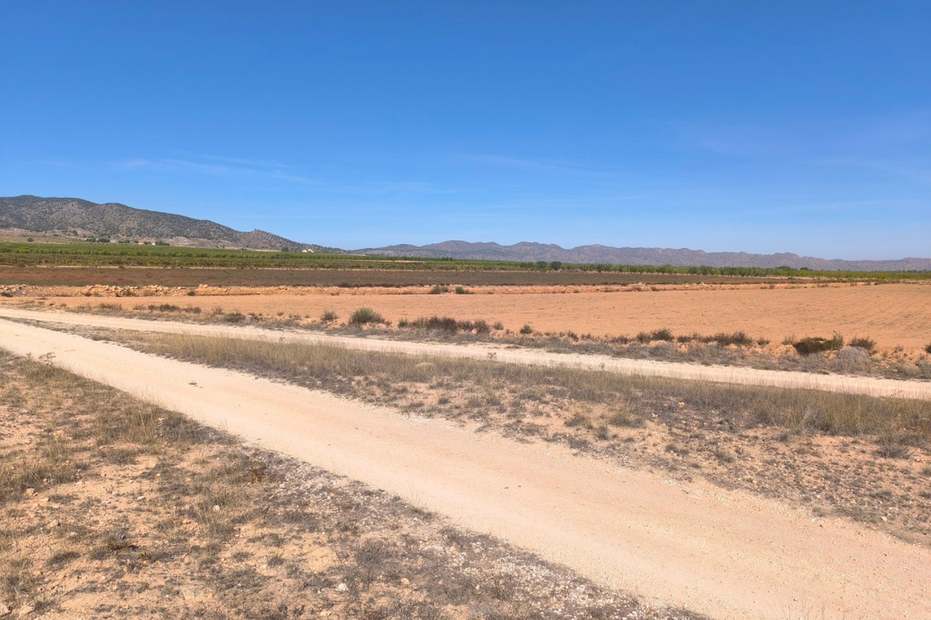 Resale - land -
Pinoso - Pinoso Centro