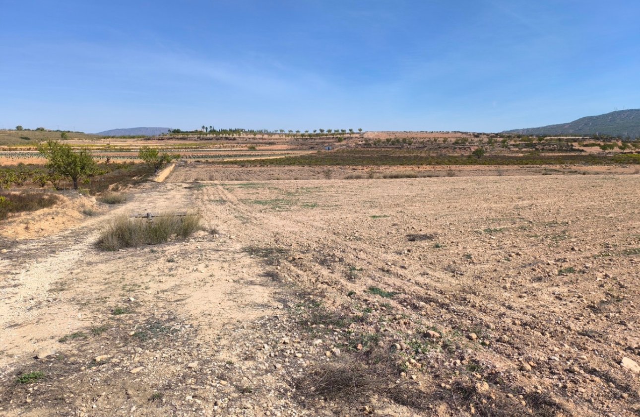 Resale - land -
Pinoso - Pinoso Centro