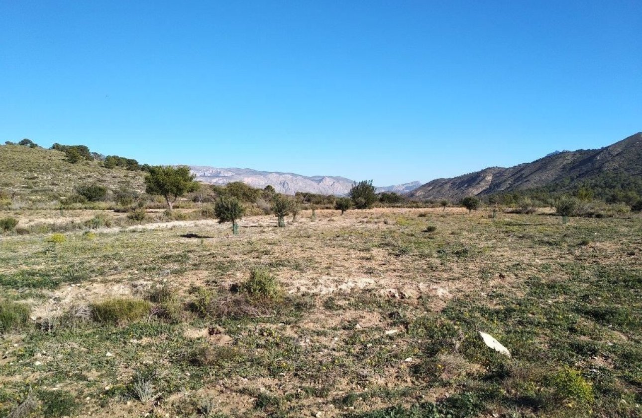 Resale - land -
Relleu - Relleu Centro