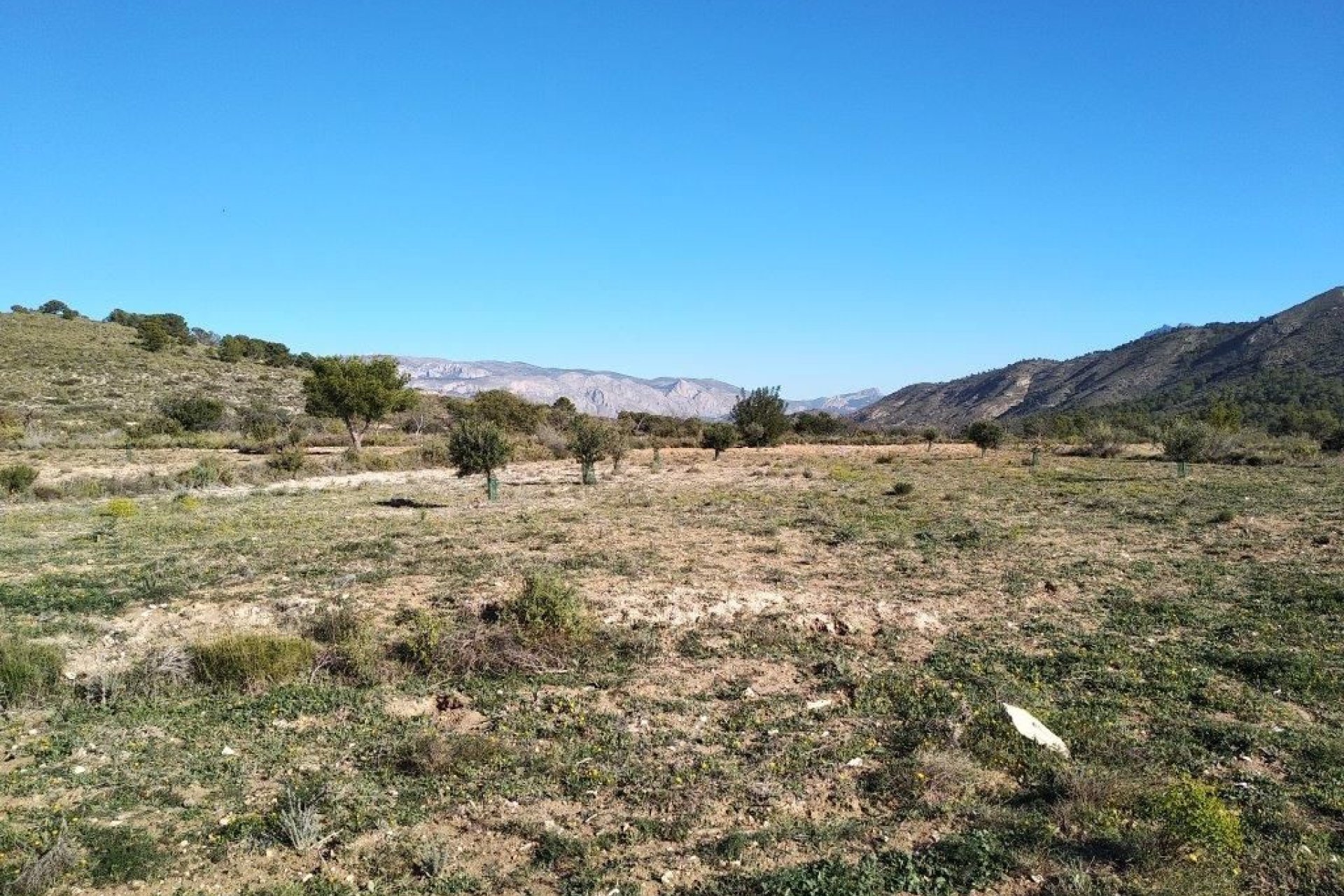 Resale - land -
Relleu - Relleu Centro