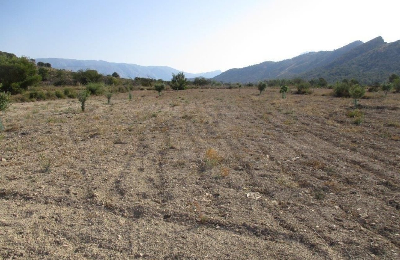 Resale - land -
Relleu - Relleu Centro