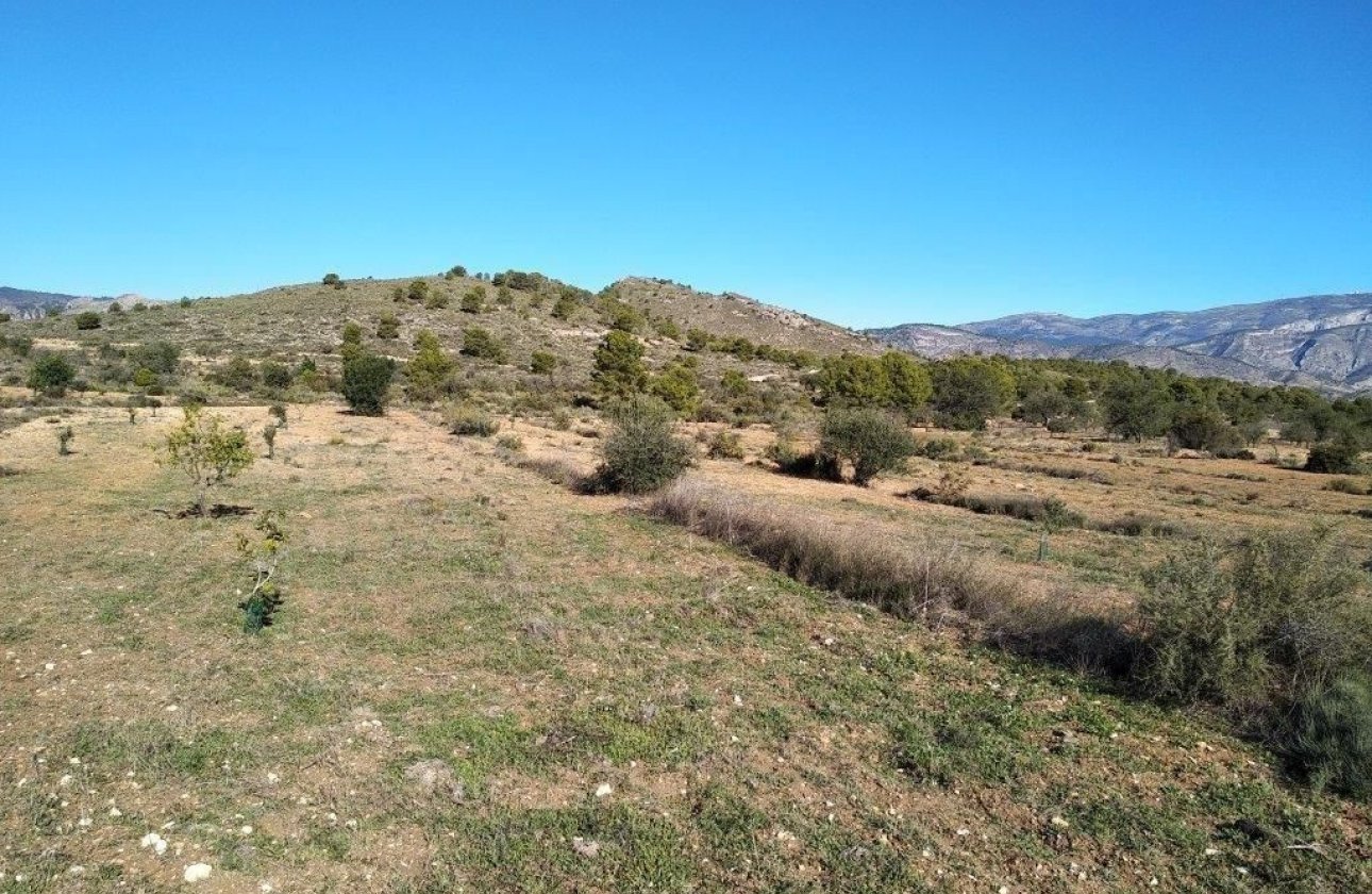 Resale - land -
Relleu - Relleu Centro