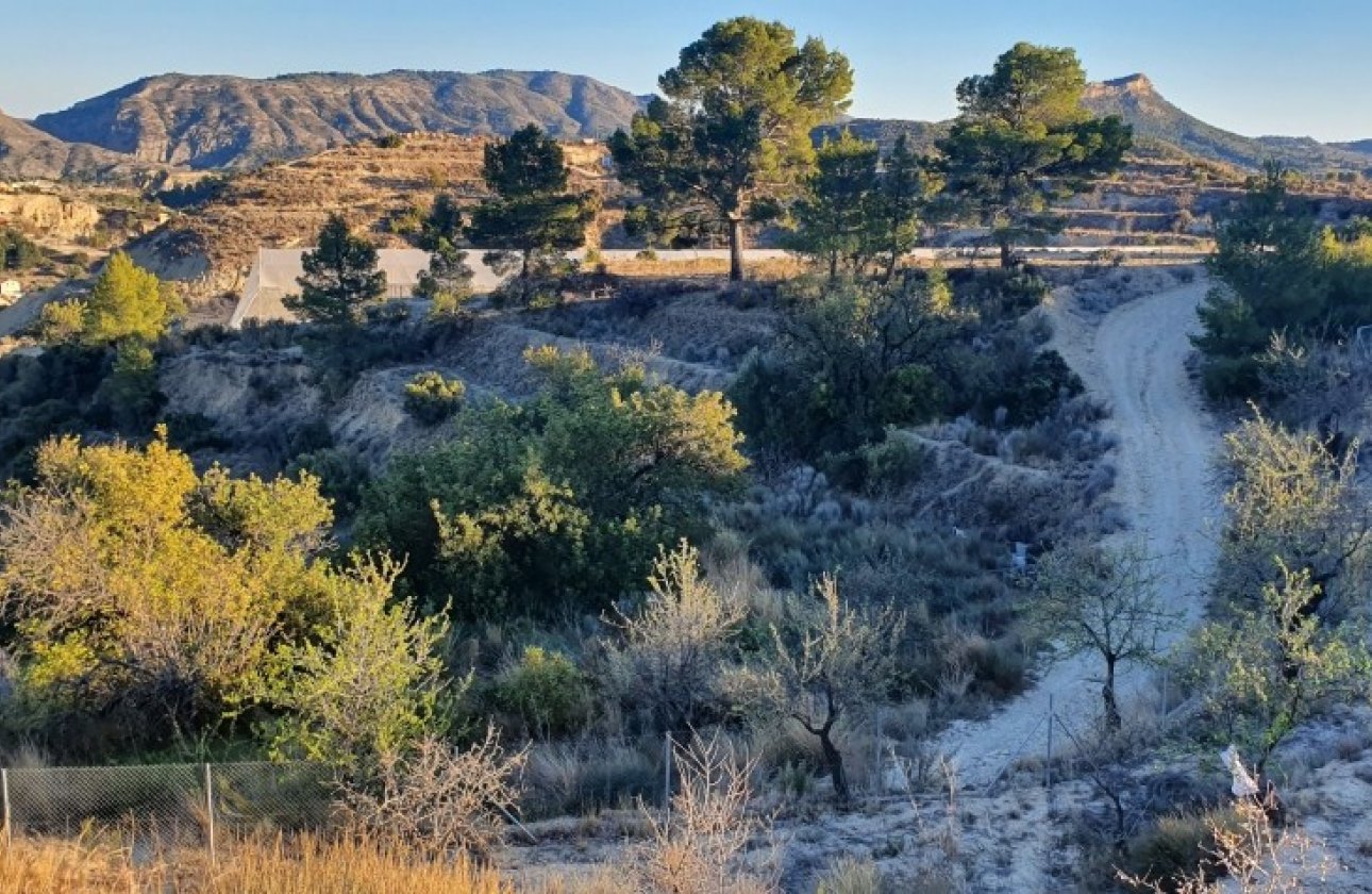 Resale - land -
Relleu - Relleu Centro