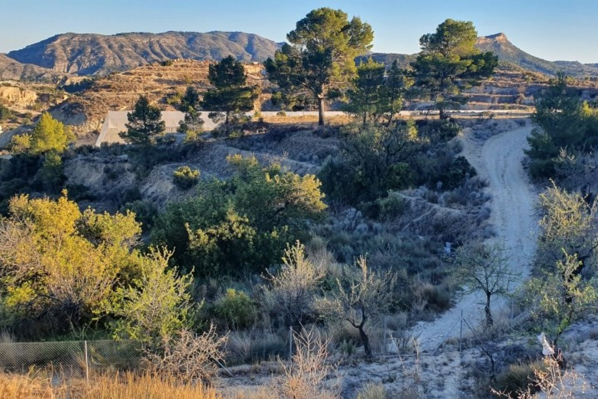 Resale - land -
Relleu - Relleu Centro