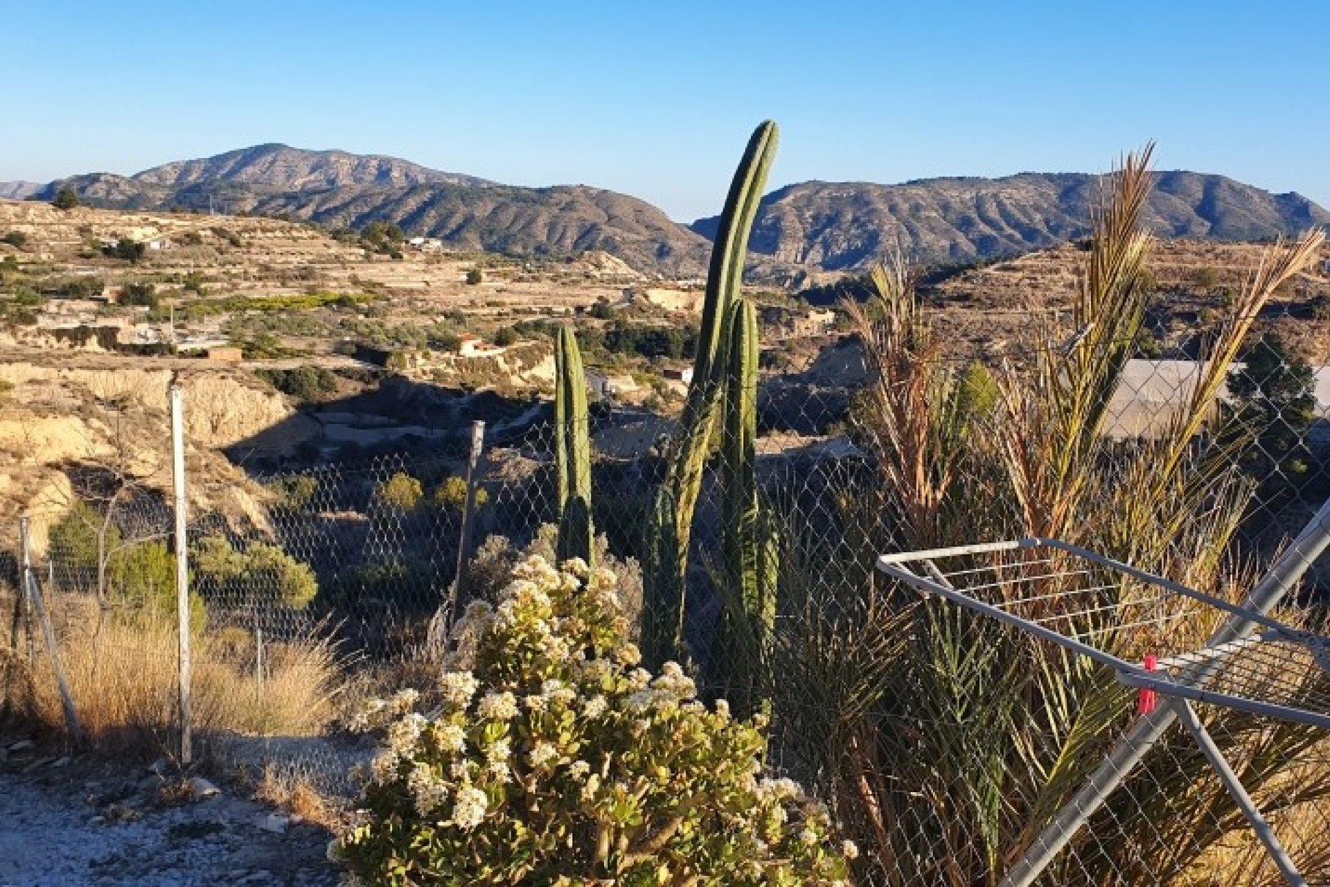 Resale - land -
Relleu - Relleu Centro