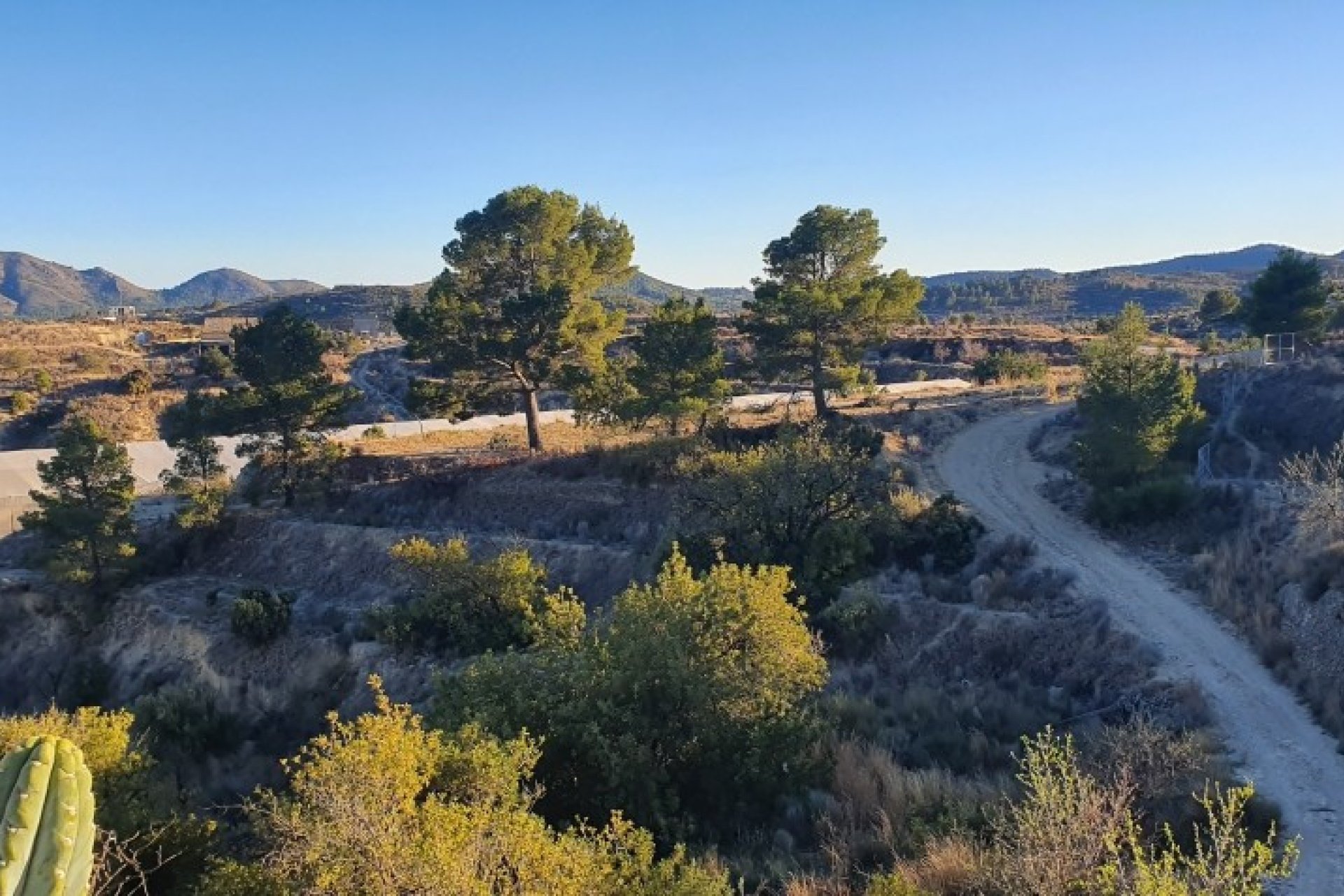 Resale - land -
Relleu - Relleu Centro