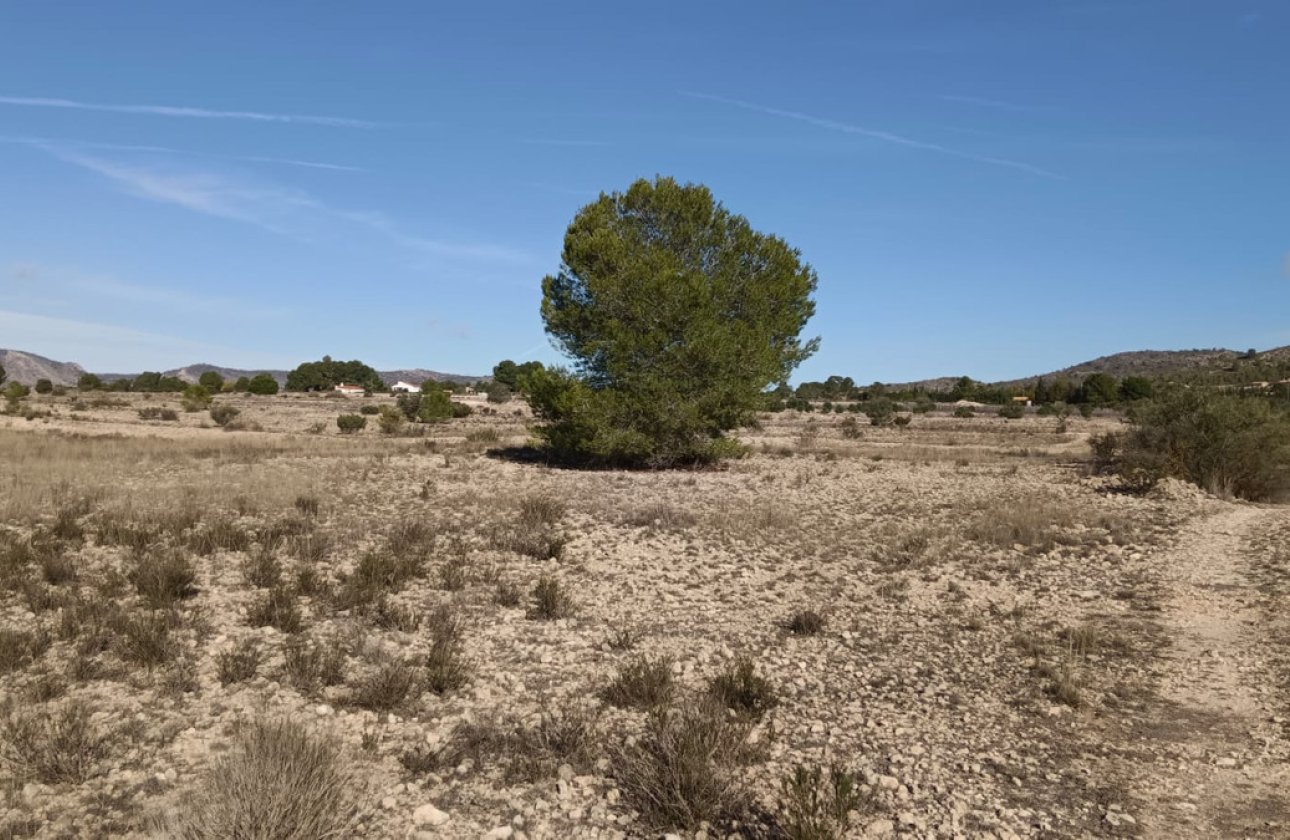 Resale - land -
Salinas - Salinas Centro