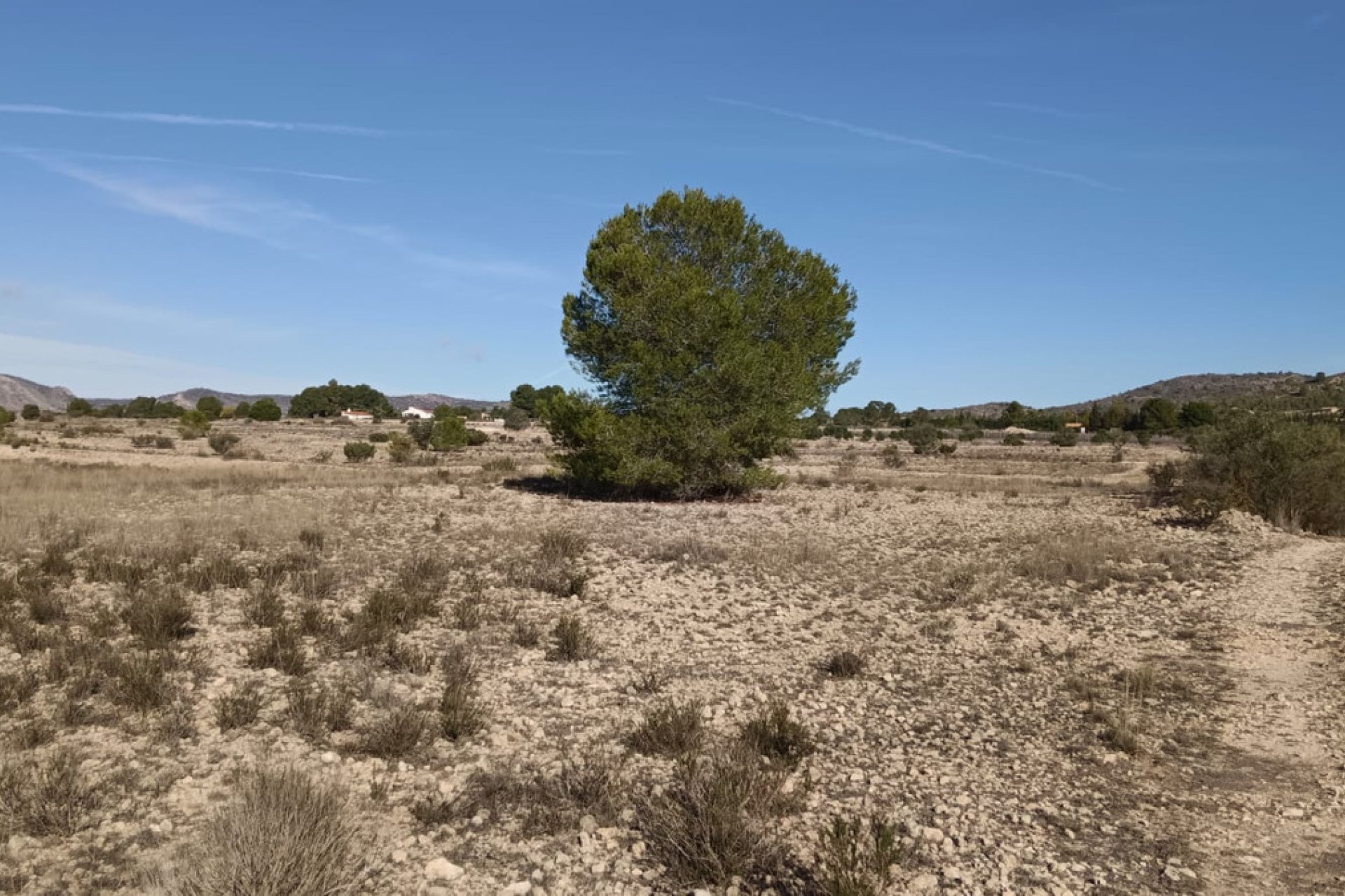 Resale - land -
Salinas - Salinas Centro